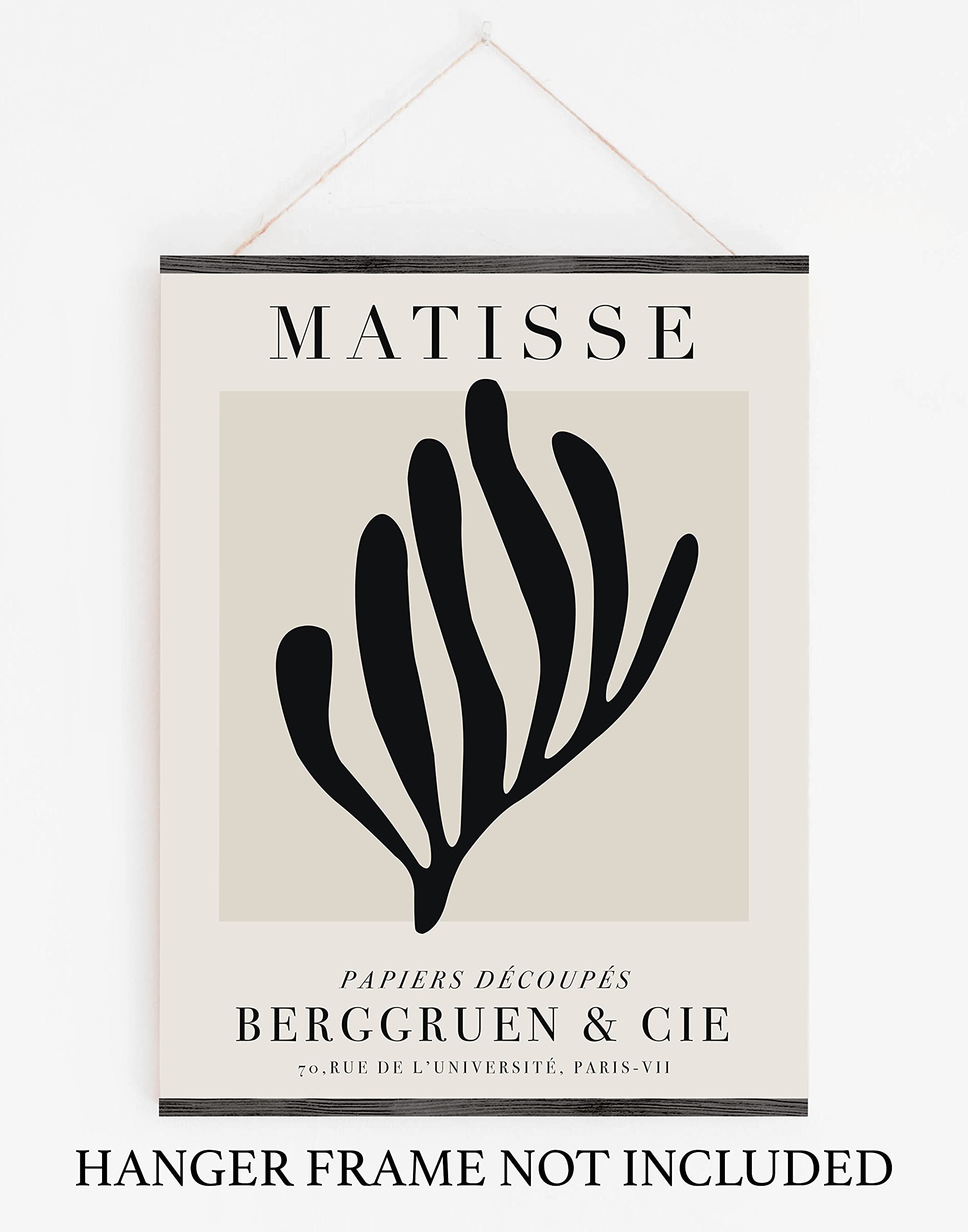 Amazon.com: Sage Light Design Co Matisse Paper Cut-Out Exhibition